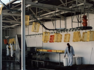 Poultry Industry Conveyors